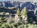 Black Canyon of the Gunnison NP - 38
